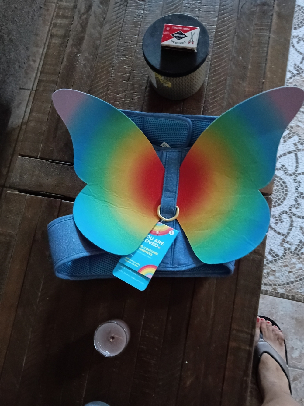 Blue Rainbow Butterfly Dog Harness - Colorful Wings Accent